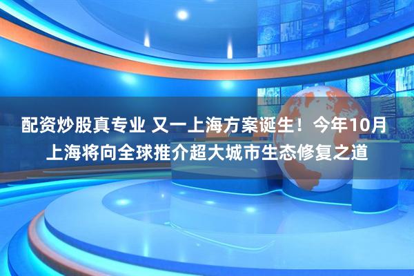 配资炒股真专业 又一上海方案诞生！今年10月 上海将向全球推介超大城市生态修复之道