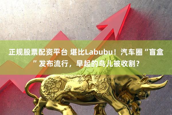 正规股票配资平台 堪比Labubu！汽车圈“盲盒”发布流行，早起的鸟儿被收割？