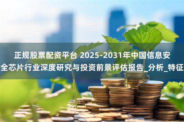 正规股票配资平台 2025-2031年中国信息安全芯片行业深度研究与投资前景评估报告_分析_特征