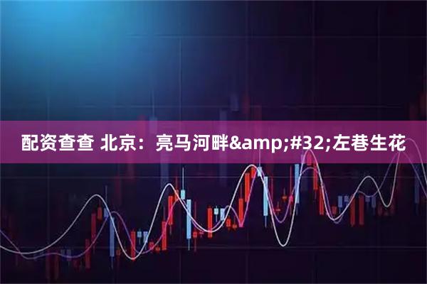 配资查查 北京：亮马河畔&#32;左巷生花