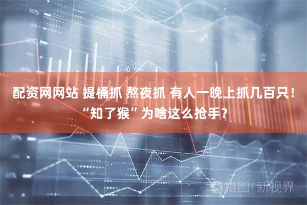配资网网站 提桶抓 熬夜抓 有人一晚上抓几百只！“知了猴”为啥这么抢手？
